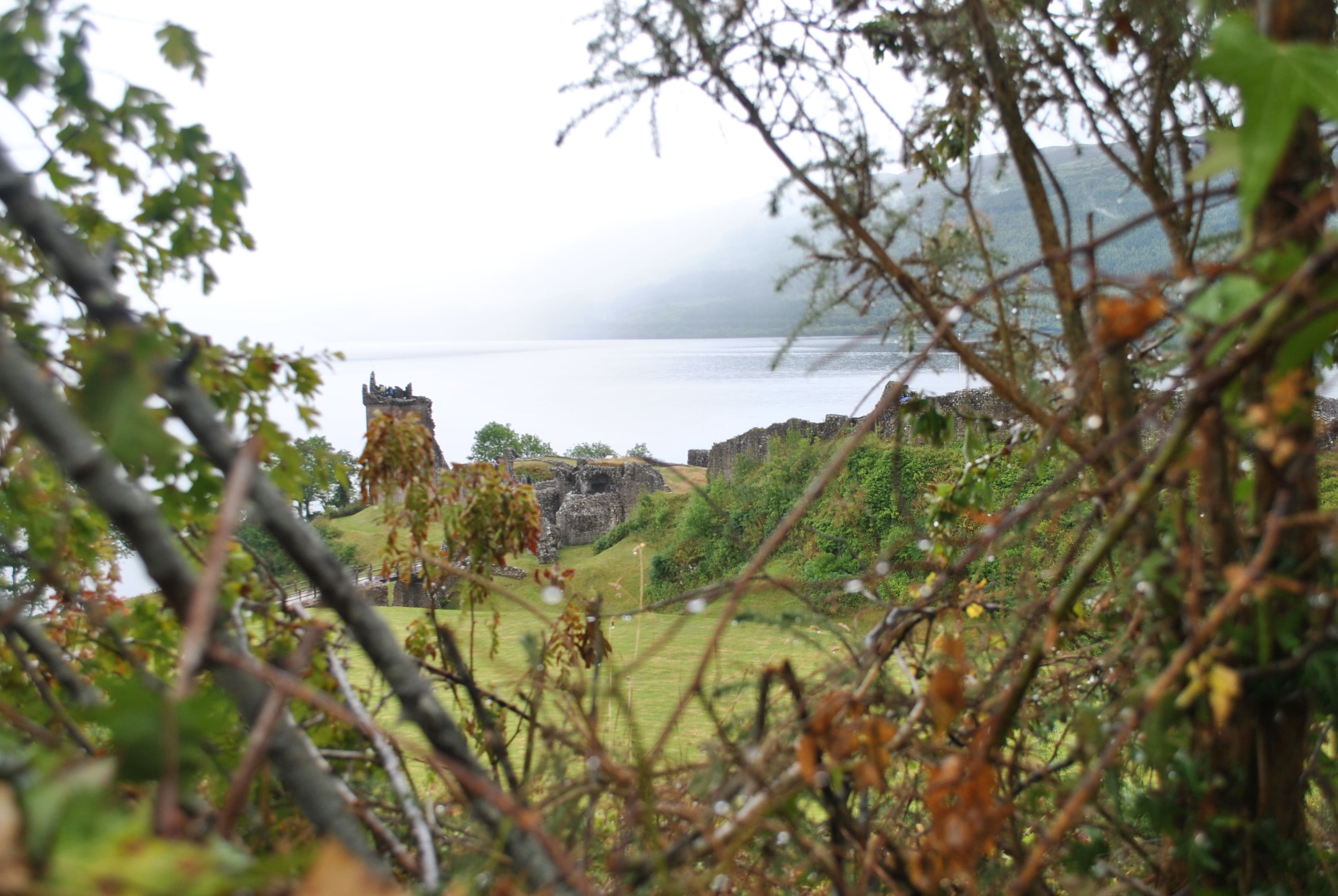 Tycoon Tours Scottish Travel