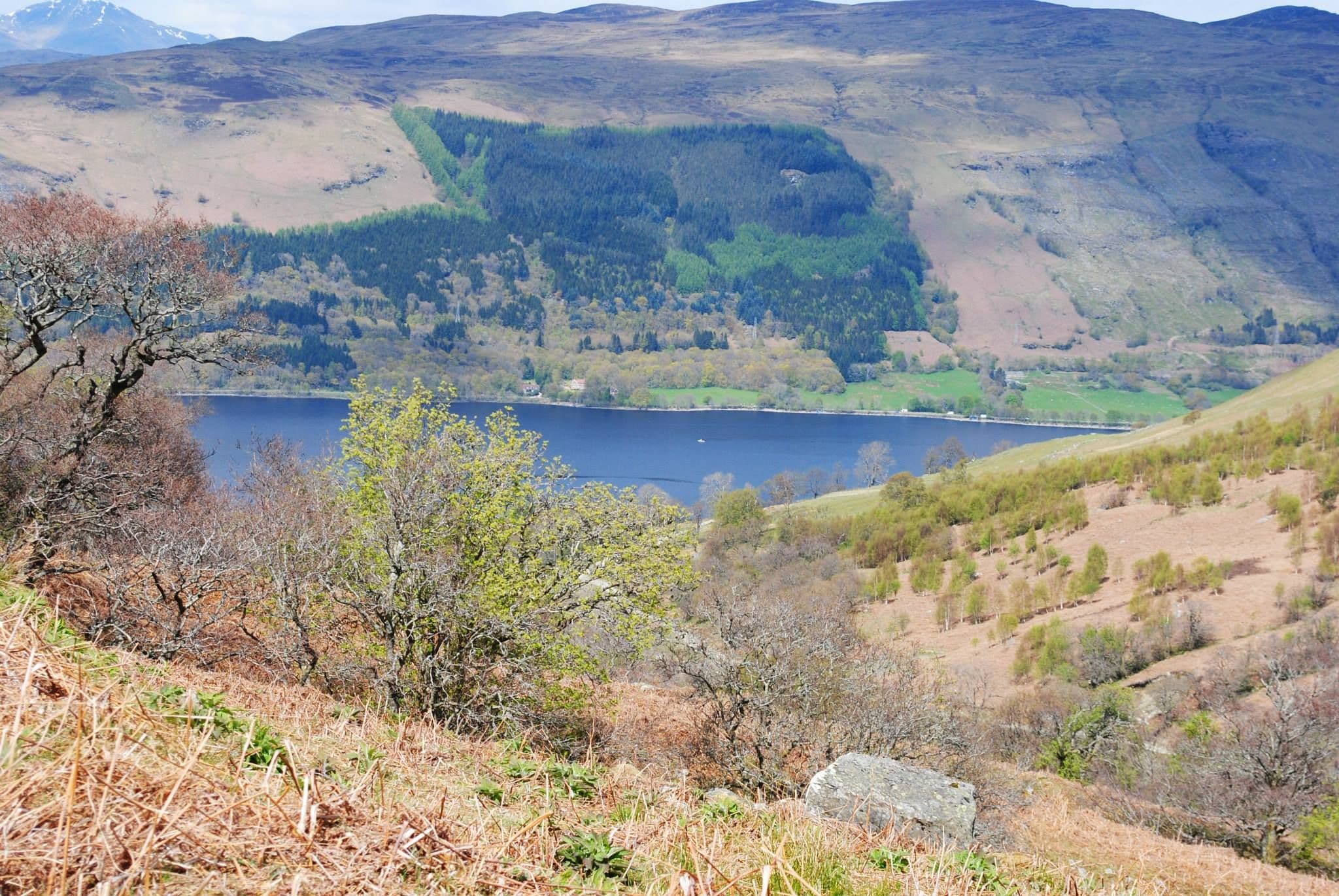 Tycoon Tours Scottish Travel