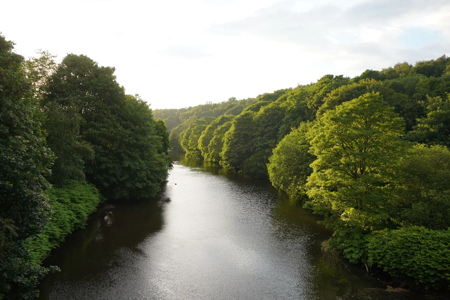 River Tweed Day Trip