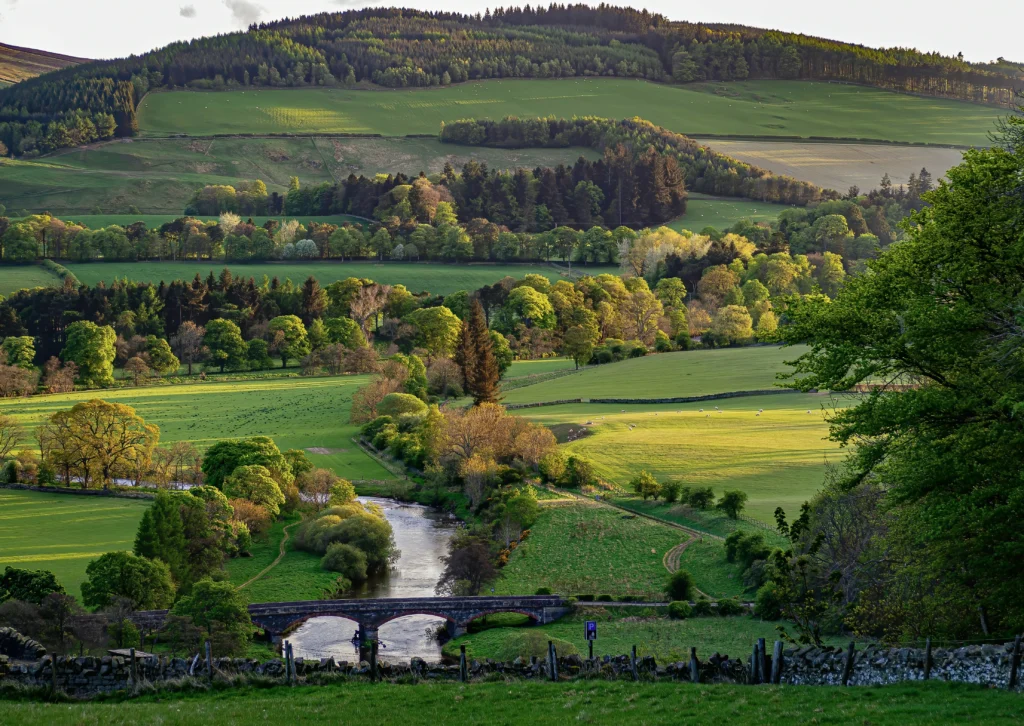 Rolling hills of the Scottish Borders on a day trip from Edinburgh